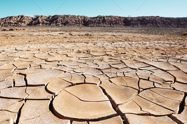 Dry cracked earth in the Atacama desert