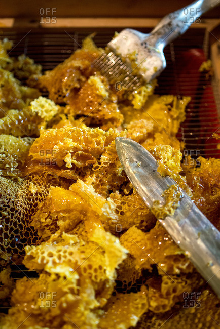 Honey extracting tools and honeycombs