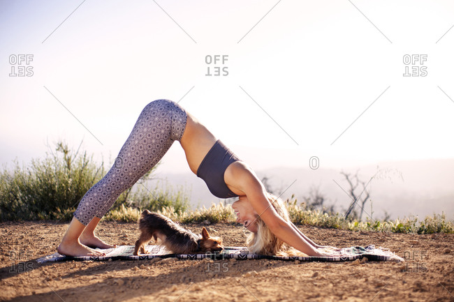 Woman in downward-facing dog yoga pose with her dog