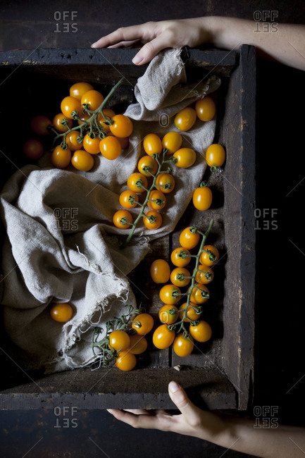 Person holding yellow cherry tomatoes in a old wooden box