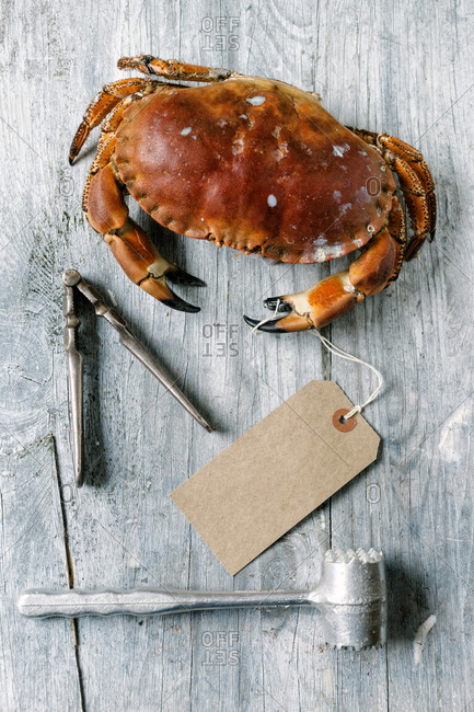 A steamed crab next to a cracker and a mallet