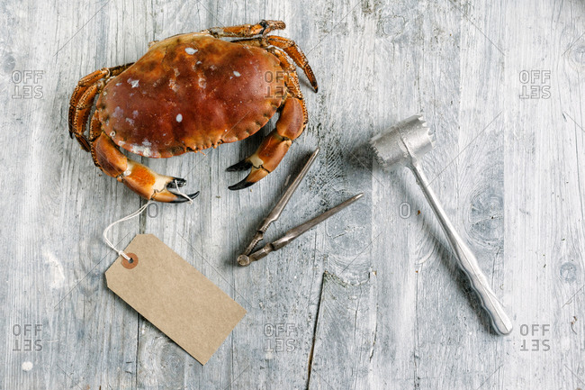 A steamed dungeness crab next to a cracker and a mallet
