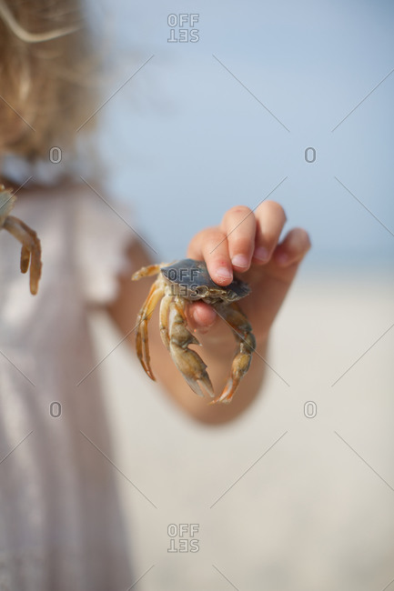 Little girl with crab in hand