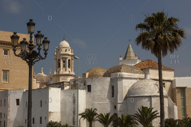 View of architecture and palm trees, Cadiz