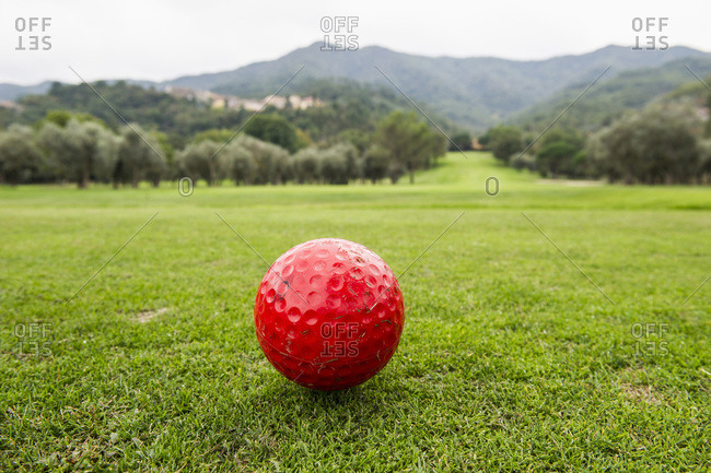Red golf ball on a golf course