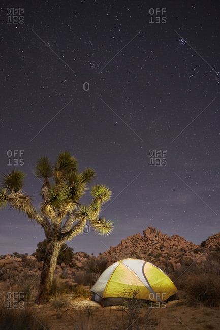 Camping tent in desert wilderness at night