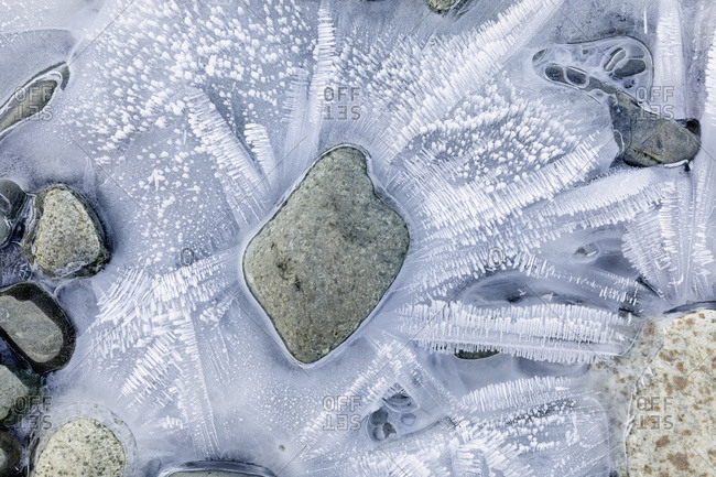 Close up of hoar frost crystals along the Chilkat River, Chilkat Bald Eagle Preserve, Haines, Southeast Alaska
