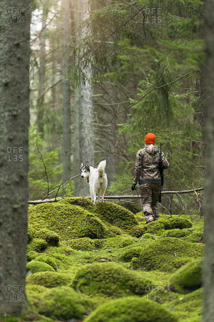 Woman with hunting dog in forest
