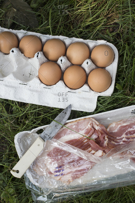 Carton of eggs and bacon in grass at a campsite
