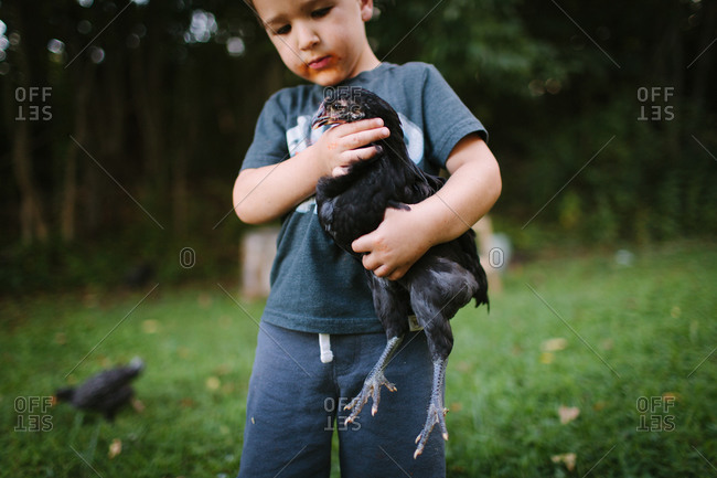 Boy holding one of his chickens