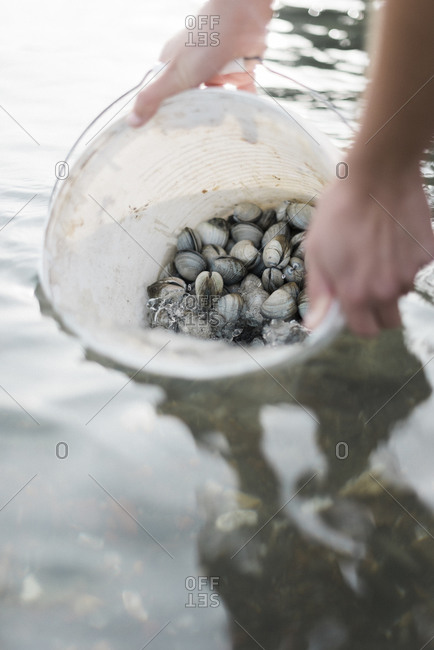 Person adding water to a bucket of clams