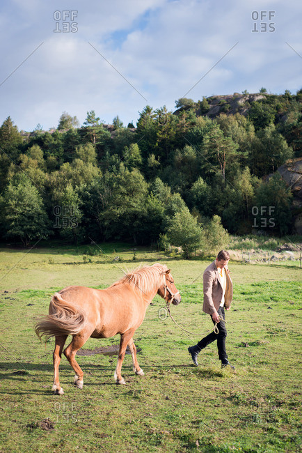 Man in a riding jacket leading a horse through a field