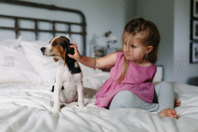 Young girl petting beagle puppy while sitting on white bed