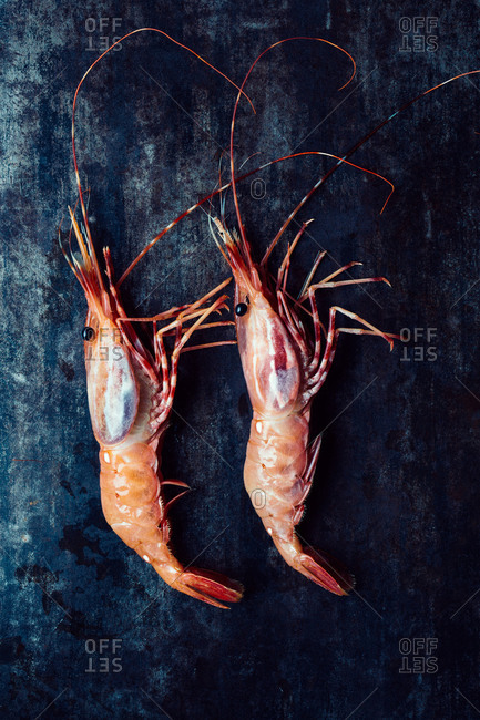 Two fresh prawns arranged on dark background
