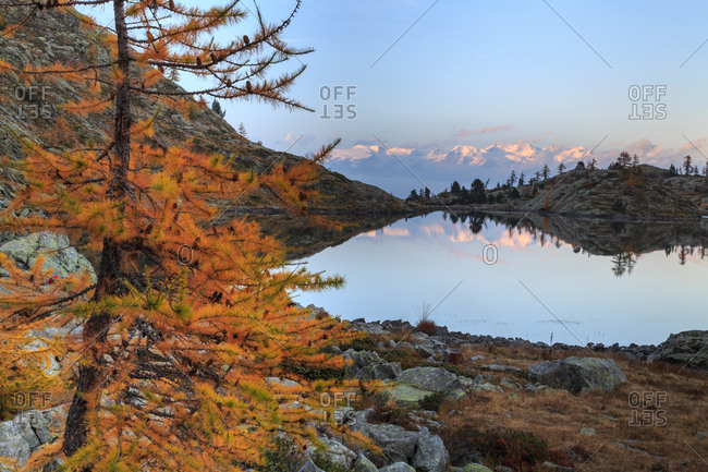 Sunrise on Mount Rosa seen from Lac Blanc, Natural Park of Mont Avic