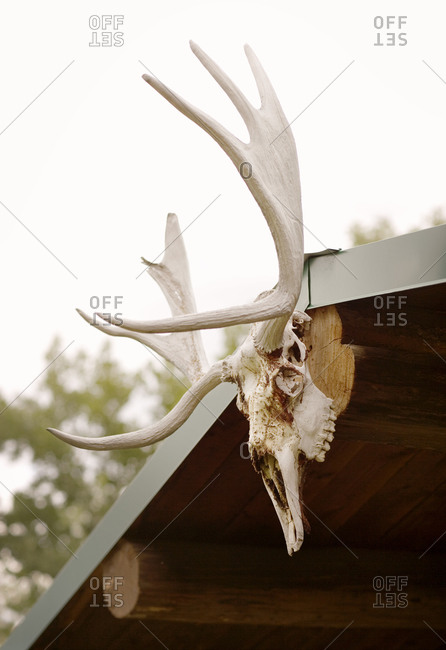 Animal antlers mounted on a roof in Wyoming
