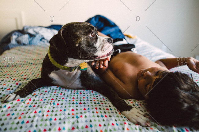 Boy patting chin of his dog as they lounge together on bed