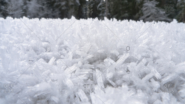 Close Up Of Hoar Frost Along The North Fork Of The Nooksak River During Winter, Mount Baker National Forest, Washington, Usa