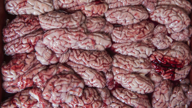 Brains for sale at a market, Phnom Penh, Cambodia