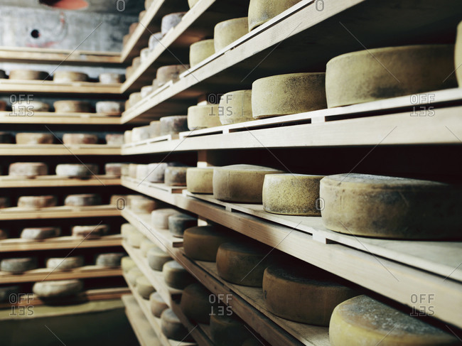 Cheese making in Slovenia