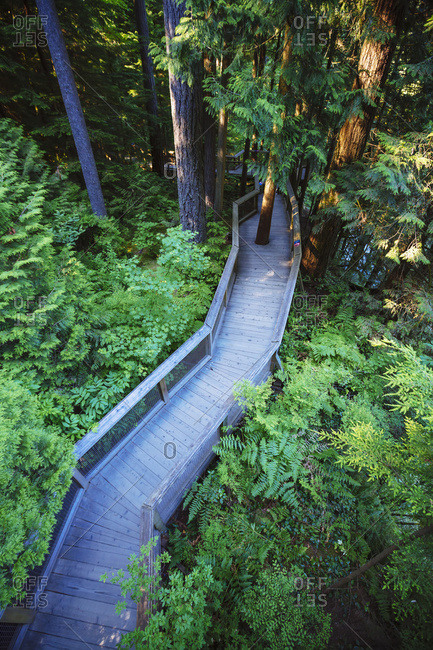 Trail in the forest at the Capilano Suspension Bridge, Vancouver, British Columbia, Canada