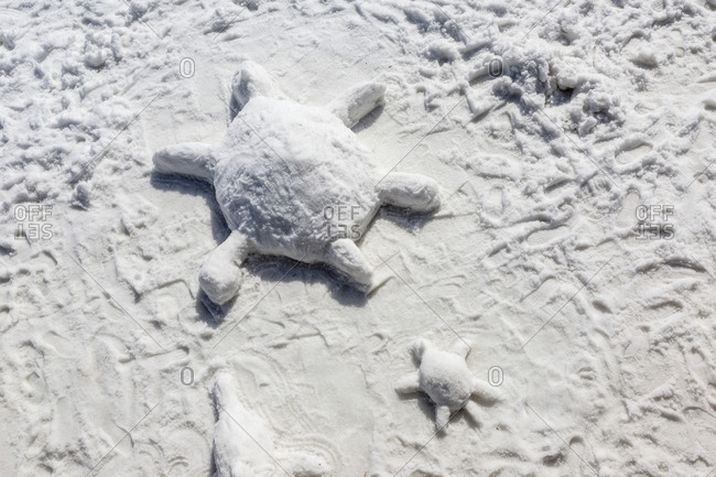Sea turtles sculpted in snow