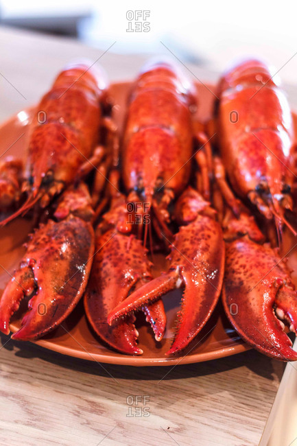 Three cooked New England lobsters
