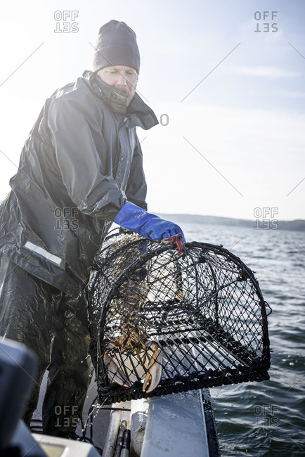 Fisherman with lobster trap