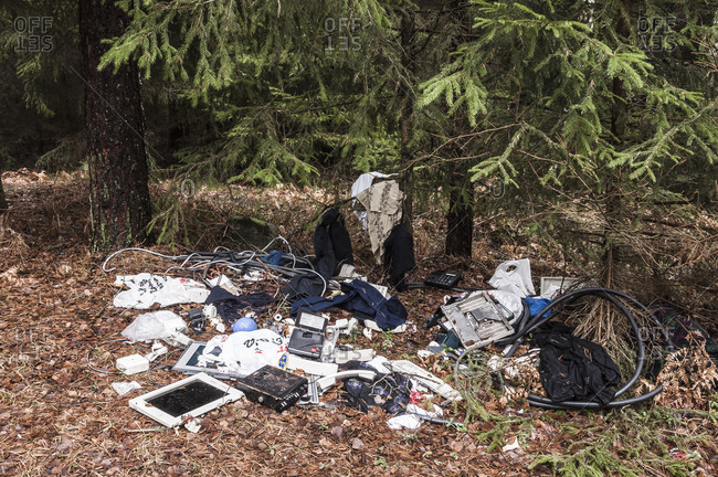 Rubbish in forest