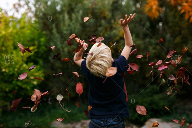 Autumn leaves raining down on boy who has thrown them in the air
