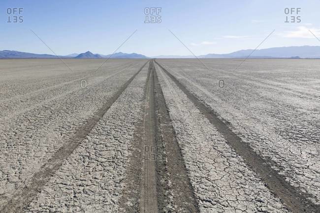 Tire tracks on playa in the Black Rock Desert, Nevada, USA