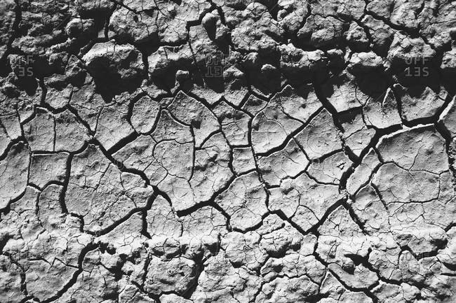 Close up of tire tracks on cracked soil, Black Rock Desert, Nevada, USA