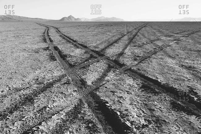 Fresh tire tracks on playa at dusk, Black Rock Desert, Nevada, USA