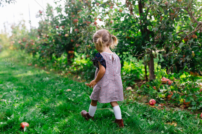 Toddler girl walking past row of trees in apple orchard