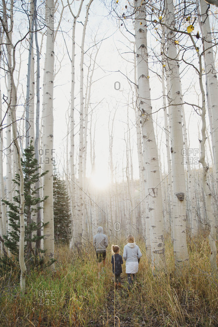Kids standing in a birch forest