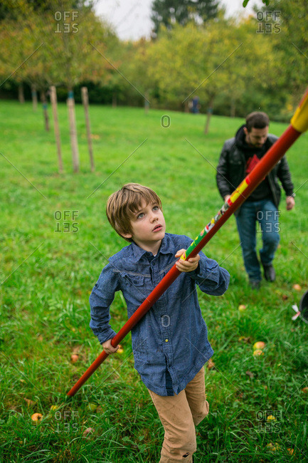 Boy using a fruit picker to pick apples
