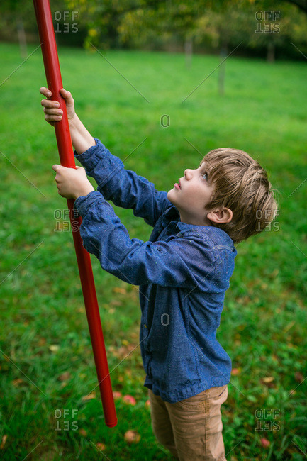 Boy picking apples with a fruit picker