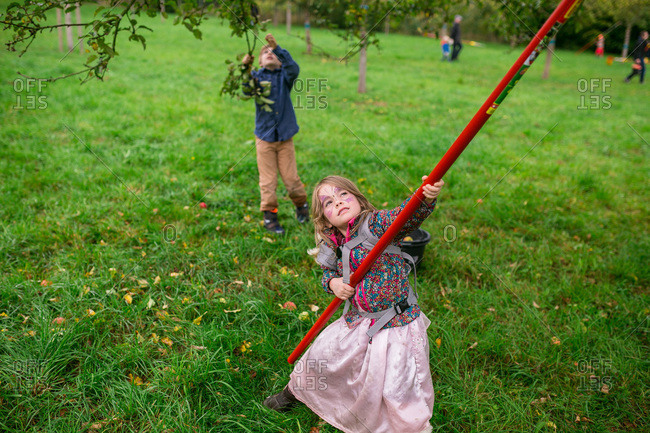 Girl picking apples with a fruit picker