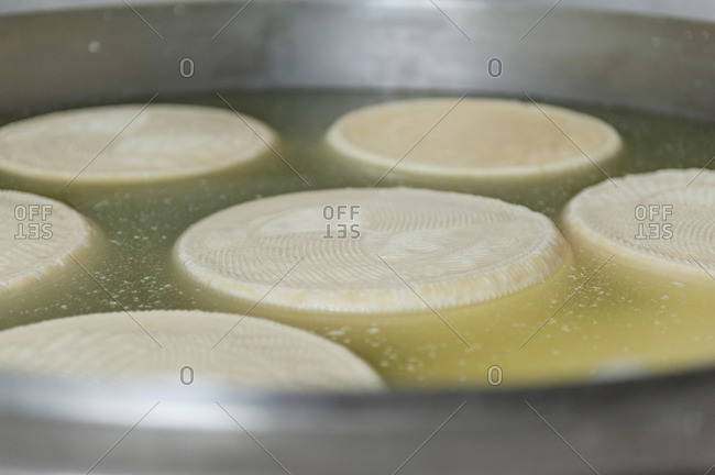 Wheels of cheese being processed at Italian plant
