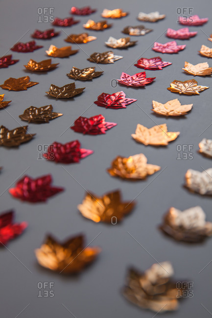 Fall leaf confetti in rows