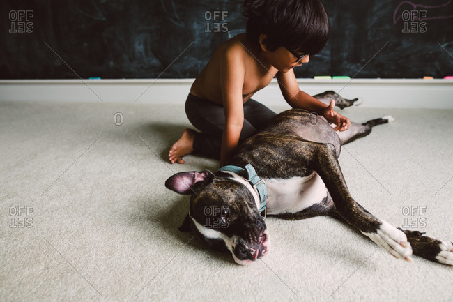 Little boy scratching his dog\'s belly