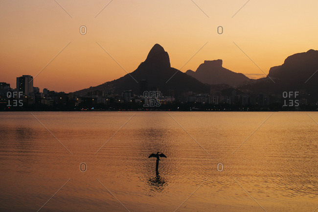 A silhouetted bird spreads its wings in front of the Two Brothers peaks in Rio de Janeiro