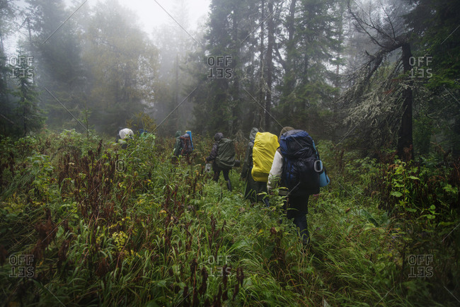 Group of backpackers in rain gear walking through tall grass in woods