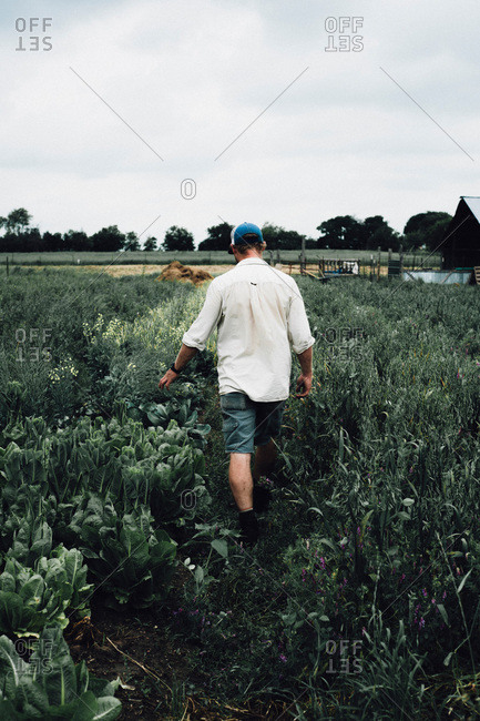 Farmer walking through field in Waco, Texas