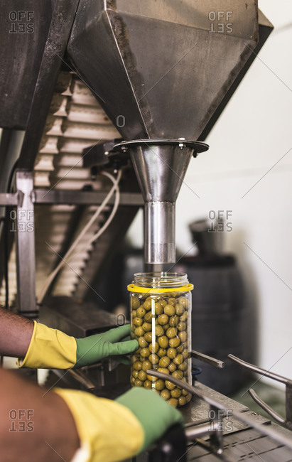 Worker in food processing plant at olive filling machine