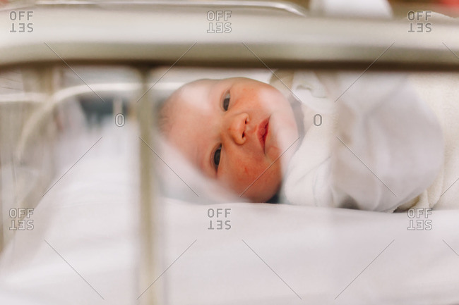 Newborn baby girl in a hospital bassinet