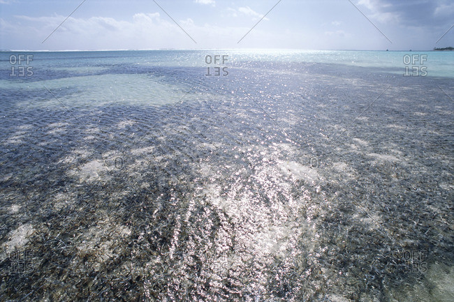 Overview of Ocean, Cayman Islands
