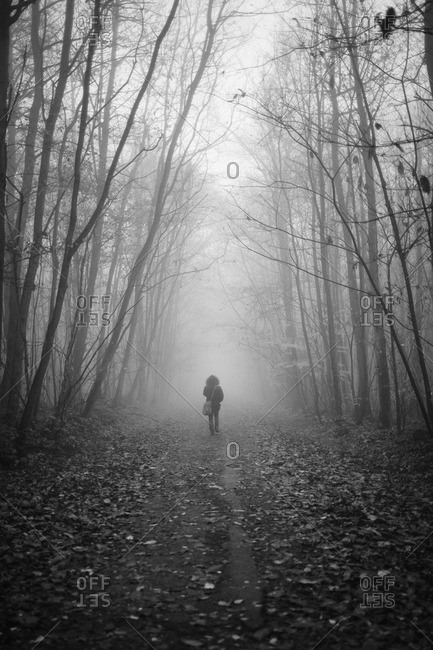Man walking on a path in misty autumn woods