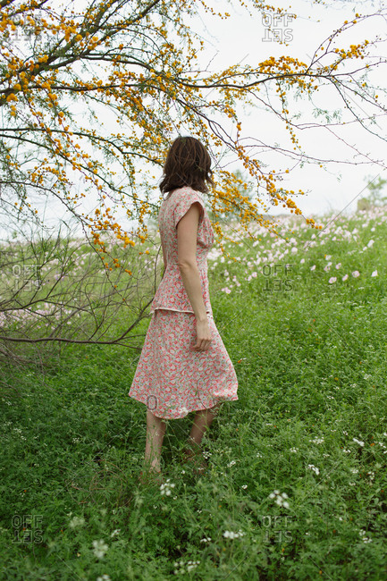 Woman in summer dress in countryside