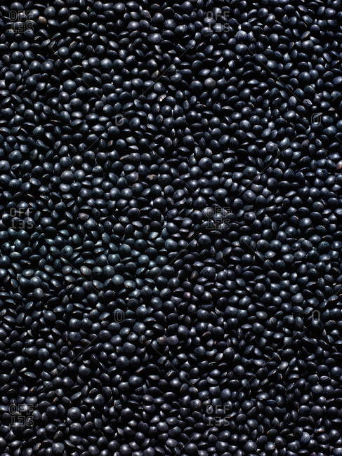 Small round dry black beans